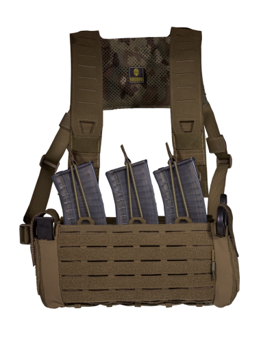FLOKI TIER 1
