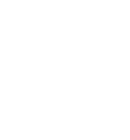 Logotipo oficial de Ragnar Raids